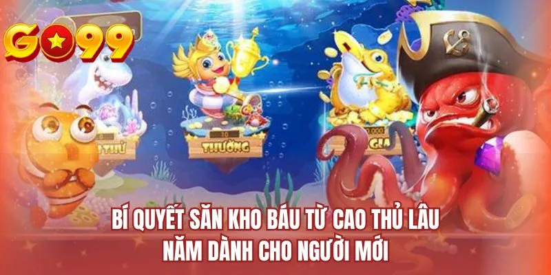 Bí quyết săn kho báu từ cao thủ lâu năm dành cho người mới